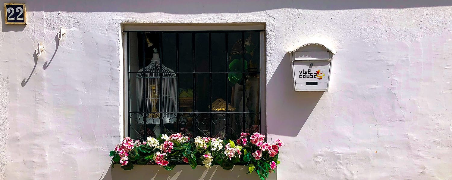 Contáctanos Vive Causa