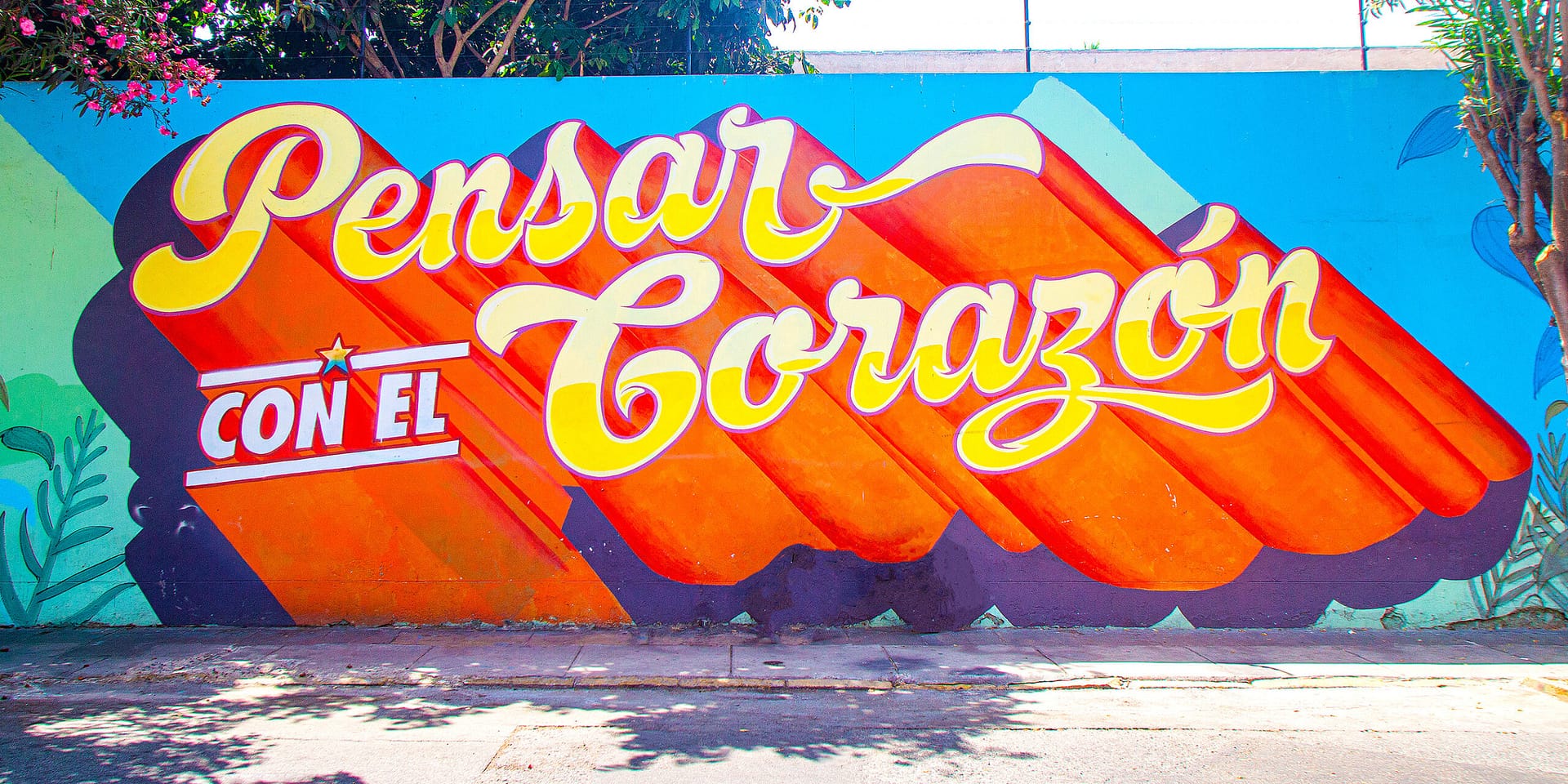 Pensar con el corazón Vive Causa